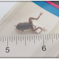 Creme Small Brown Frog On Card