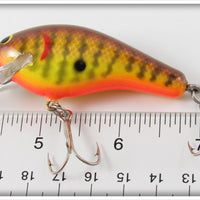 Bagley Dark Crayfish On Chartreuse Kill'r B