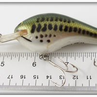 Bagley Little Bass On White DB3 Divin' B 3