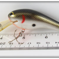 Bagley Tennessee Shad Kill'r B