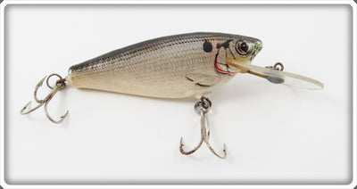 Vintage Bagley Shad On White Small Fry Shad Lure