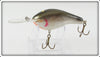 Sisson Gold Scale Crankbait