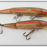 Vintage Rebel Naturalized Trout Floater Lure Pair