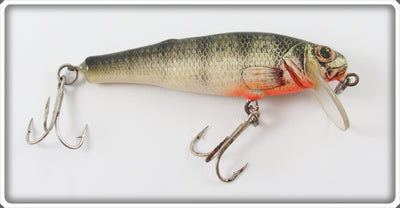 Vintage Bagley Perch On White Small Fry Perch Lure