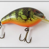 Rebel Naturalized Perch Wee R