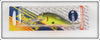 Bagley Black On Chartreuse Diving Killer B II Lure On Card