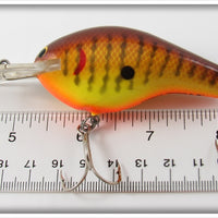 Bagley Dark Crayfish On Chartreuse Diving B III