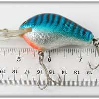 Bagley Hot Blue On Silver Diving B II