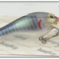 Bagley Shad On White Kill'r B2 On Card