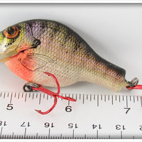 Bagley Bream On White Small Fry Bream