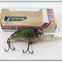Vintage Rebel Naturalized Crappie Deep Wee R Lure In Box 