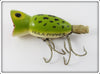 Arbogast Frog Spot Hula Popper