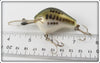 Bagley Little Bass On White Diving B I
