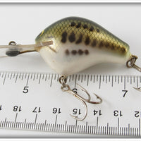 Bagley Little Bass On White Diving B I