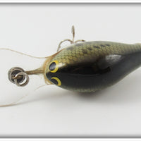 Bagley Little Bass On White Diving B I