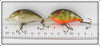 Rebel Naturalized Perch & Bass Wee R Pair
