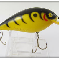 Cordell Yellow With Black Tiger Stripes Big O