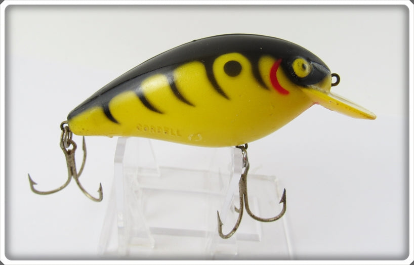 Cordell Yellow With Black Tiger Stripes Big O