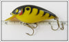 Cordell Yellow With Black Tiger Stripes Big O