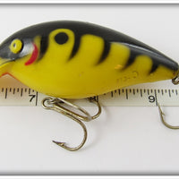 Cordell Yellow With Black Tiger Stripes Big O