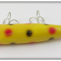 Creek Chub Yellow Spotted Darter