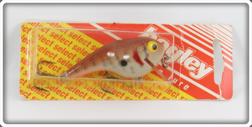 Bagley Dark Crayfish ET Lure On Card