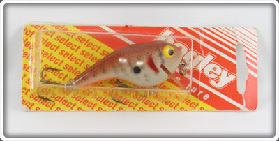 Bagley Dark Crayfish ET Lure On Card