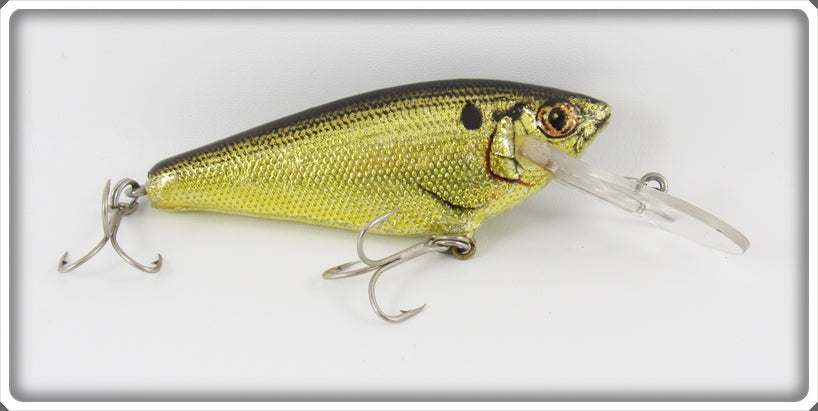 Vintage Bagley Black On Gold Foil Small Fry Shad Lure