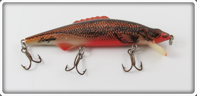 Vintage Mann's Golden Shiner Hackleback Bowfin Lure For Sale