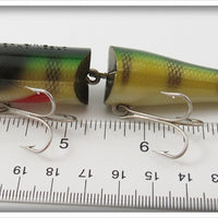 Creek Chub Perch Jointed Pikie