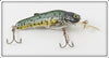 Vintage Crankbait Corp Natural Trout Bullcat Lure