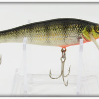 Vintage Bagley Perch On White Small Fry Perch Lure