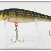 Bagley Perch On White Small Fry Perch