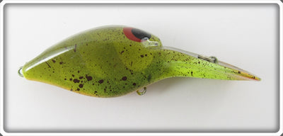 Unknown Pumpkinseed Storm Flat Wart Type