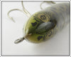 Heddon Charlie Campbell Natural Frog Swayback Zara Spook