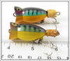 Arbogast Perch Hula Popper Pair