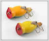 Arbogast Perch Hula Popper Pair
