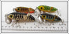Arbogast Perch, Frog & Coachdog Jitterbug Lot Of Four
