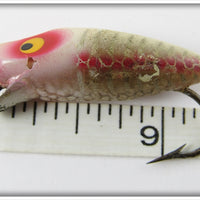 Heddon White Shore Flyrod Runtie Spook