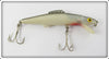 Mann's Grey & White Bowfin