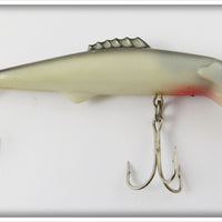 Mann's Grey & White Bowfin