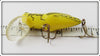Rebel Yellow Crickhopper