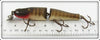 Creek Chub Pikie Scale Jointed Pikie
