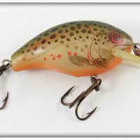 Vintage Rebel Naturalized Trout Teeny R Lure