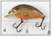 Rebel Naturalized Trout Teeny R