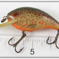 Rebel Naturalized Trout Teeny R