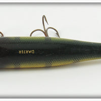 Creek Chub Perch Spinnered Darter