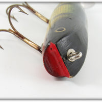 Creek Chub Perch Spinnered Darter