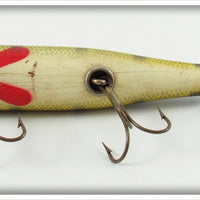 Creek Chub Perch Spinnered Darter