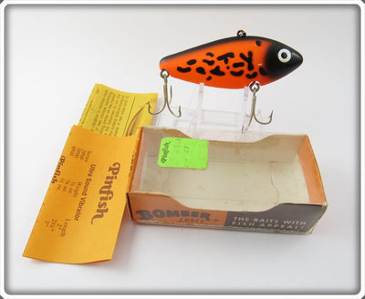 Bomber Orange Black Coachdog Pinfish In Box